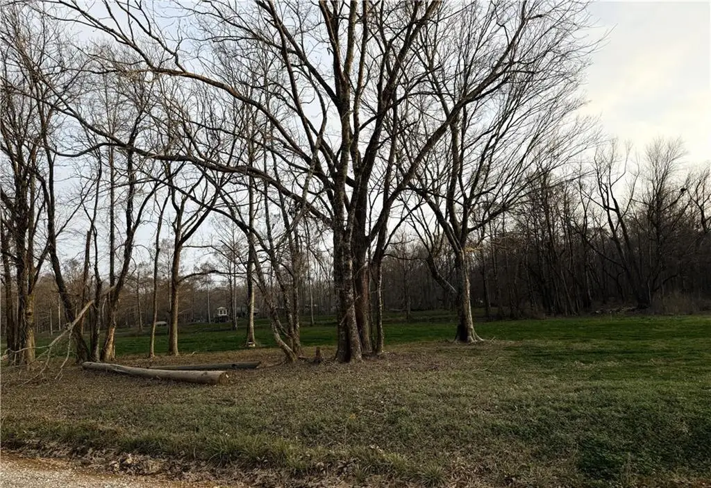 TBD Little River Road, Marksville, LA 71351 - #1