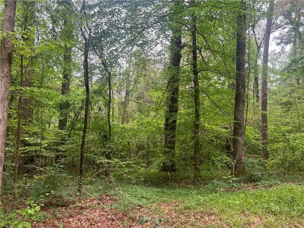 0 Hooper Road, Deville, LA 71328 - #1