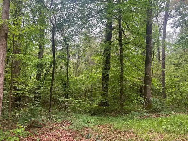 0 Hooper Road, Deville, LA 71328