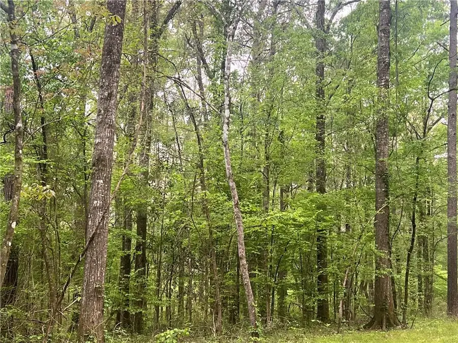 0 Hooper Road, Deville, LA 71328 - #3