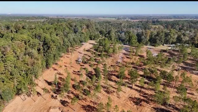 64 Kisatchie (lot2) Lane, Boyce, LA 71409 - #3