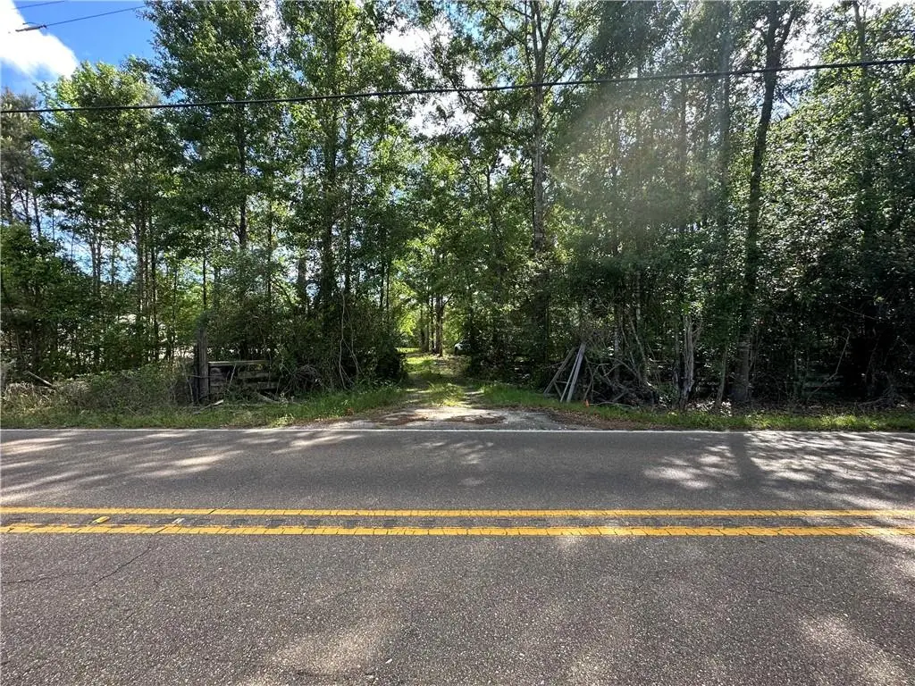 Lot C Highway 1091 Highway, Pearl River, LA 70452 - #1
