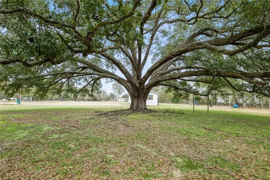 19302 Robert Road, Hammond, LA 70403 - #3