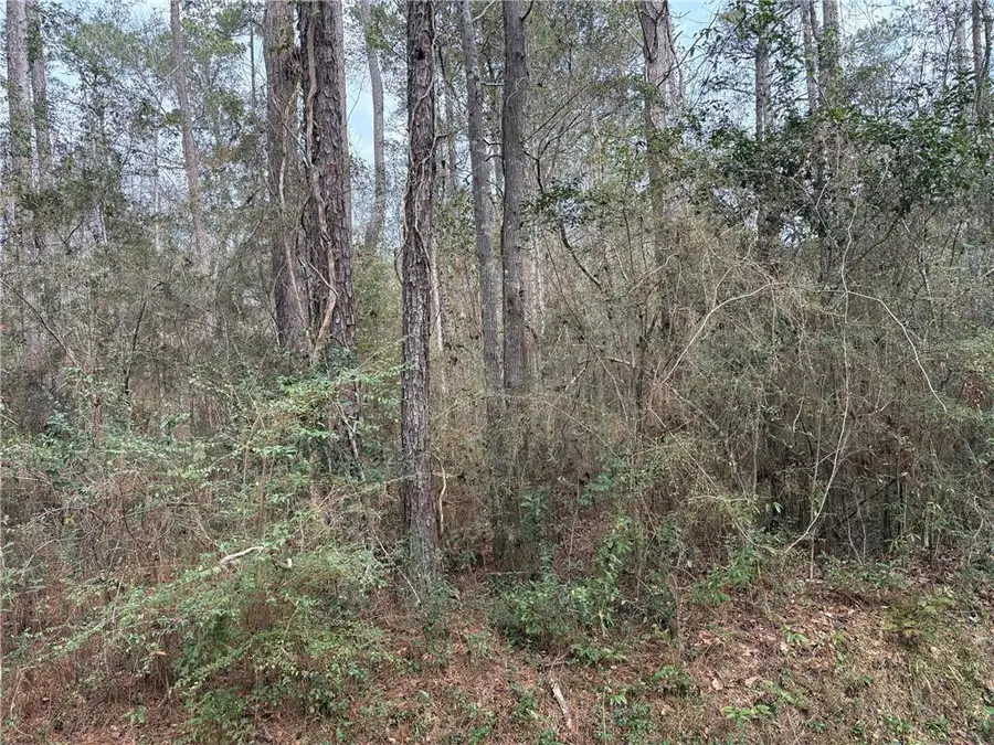 0 Huey Street, Lacombe, LA 70445 - #3