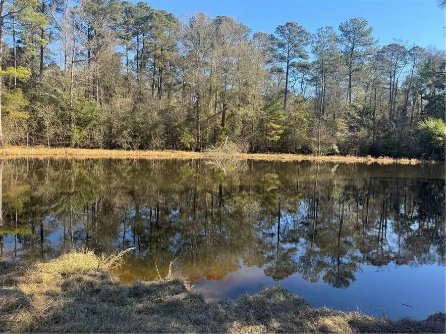 E Bell Road, Amite, LA 70422 - Image #2