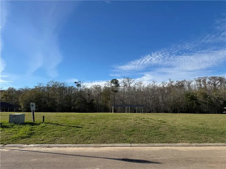 21455 Yellow Fin Drive, Springfield, LA 70462 - Image #3