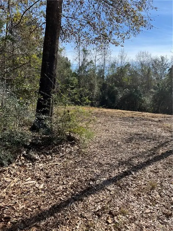 17806 Lane Road, Bogalusa, LA 70427 - #2