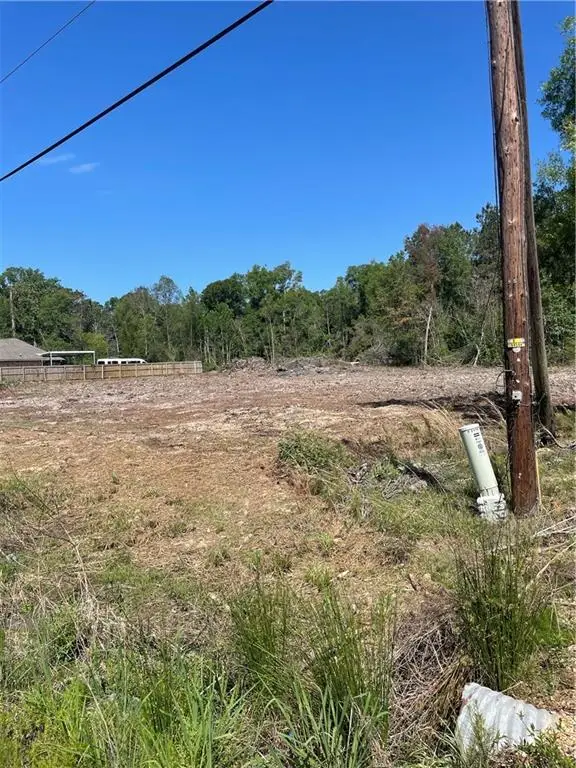 21163 E Hwy 22, Ponchatoula, LA 70454 - #3