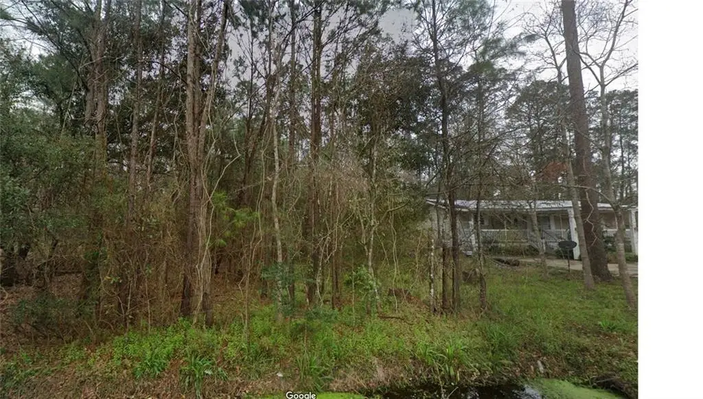 29188 Chene Drive, Lacombe, LA 70445 - #1