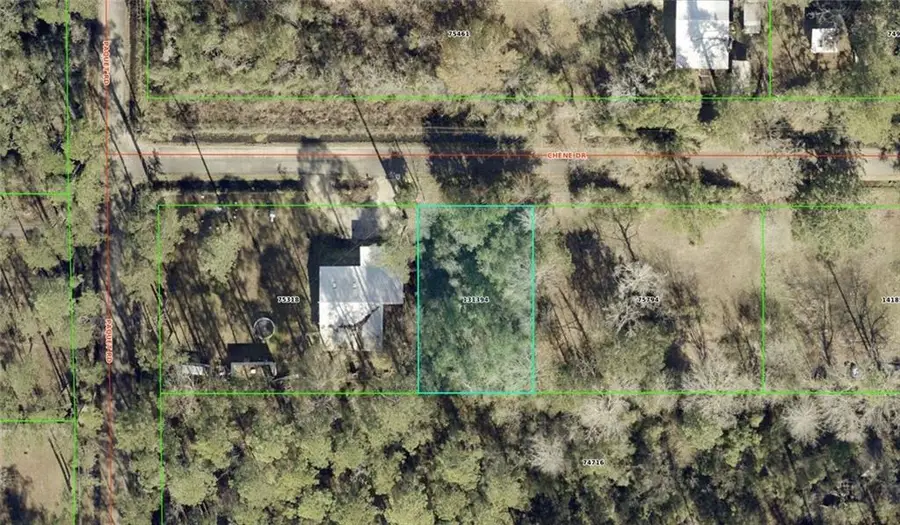 29188 Chene Drive, Lacombe, LA 70445 - #3