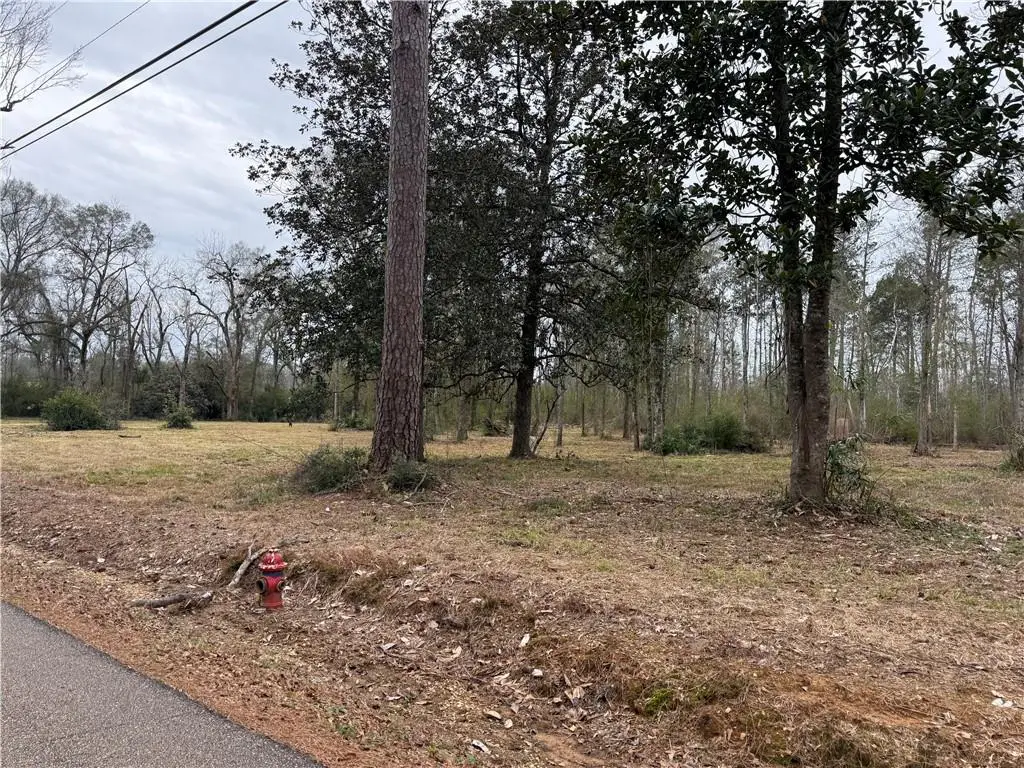 63271 Hill Street, Roseland, LA 70456 - #1