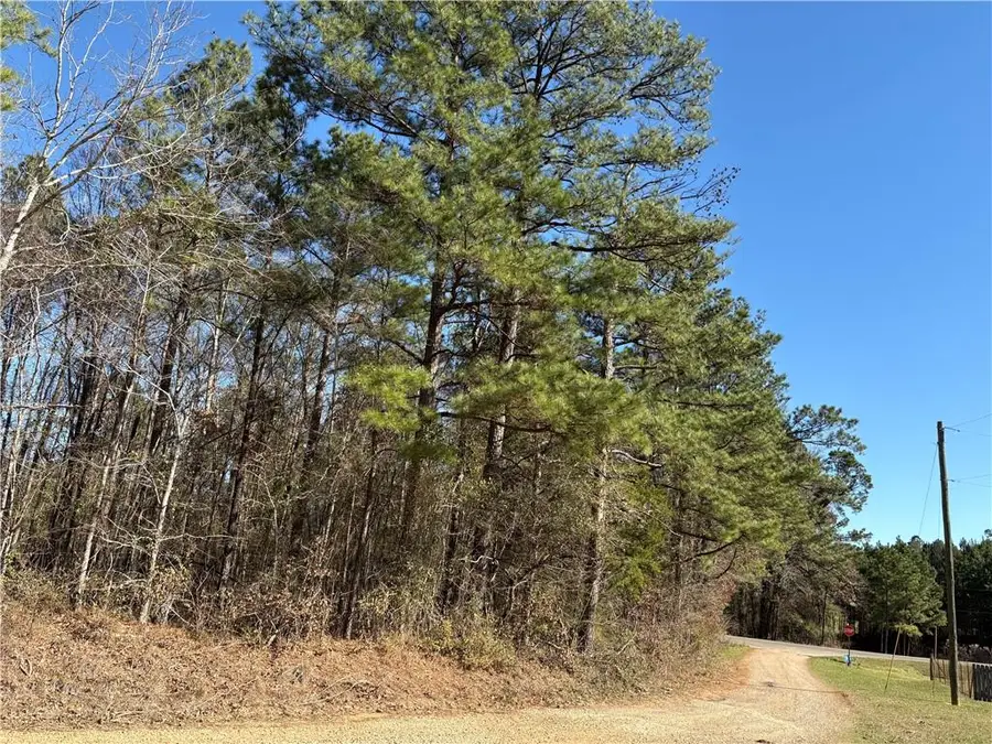 0 Effie Highway, Deville, LA 71328 - #3