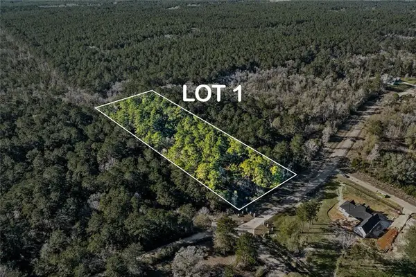 12505 Goldentop Drive, Covington, LA 70433