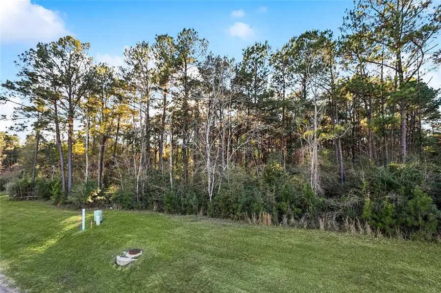 12505 Goldentop Drive, Covington, LA 70433 - #2