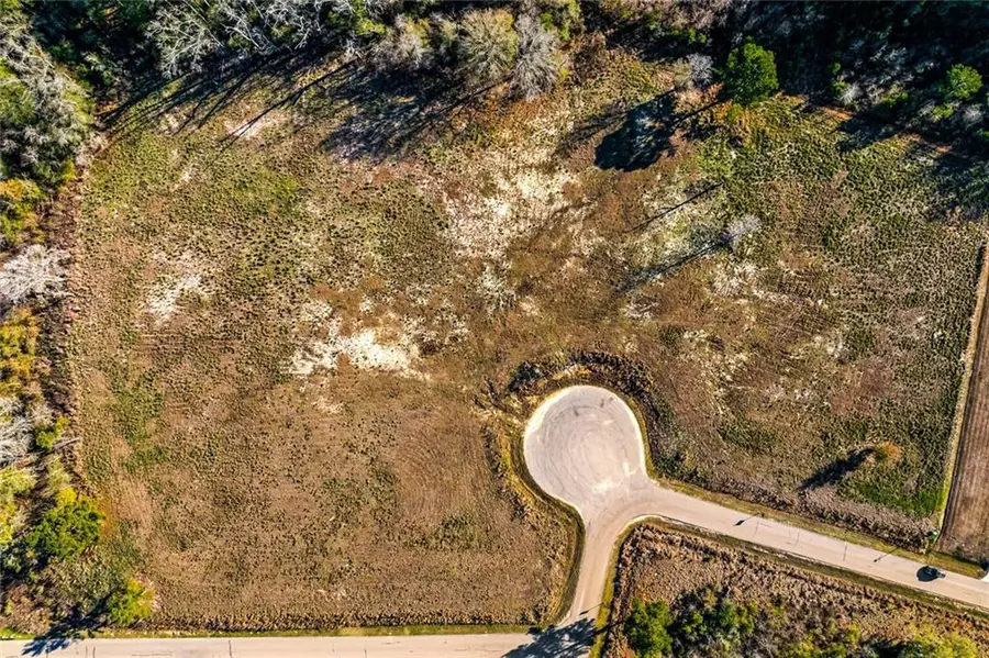 12576 Goldentop Drive, Covington, LA 70433 - #2