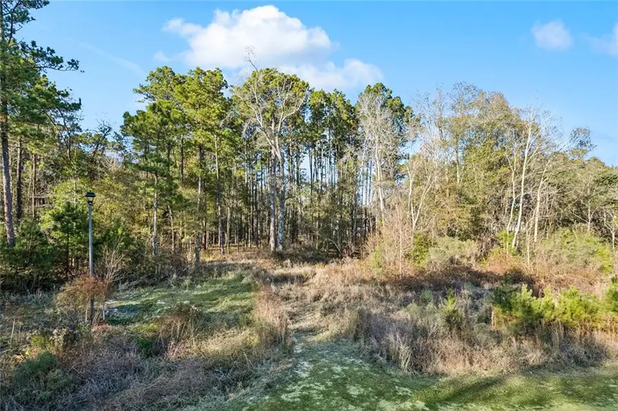 12561 Goldentop Drive, Covington, LA 70433 - #3