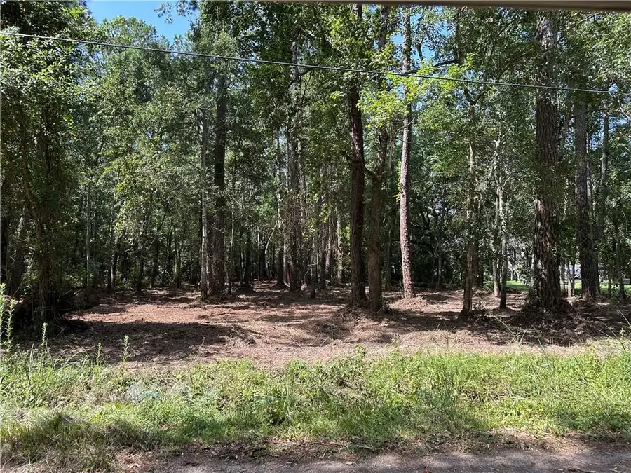 2678 Lucille Drive, Lacombe, LA 70445 - #2