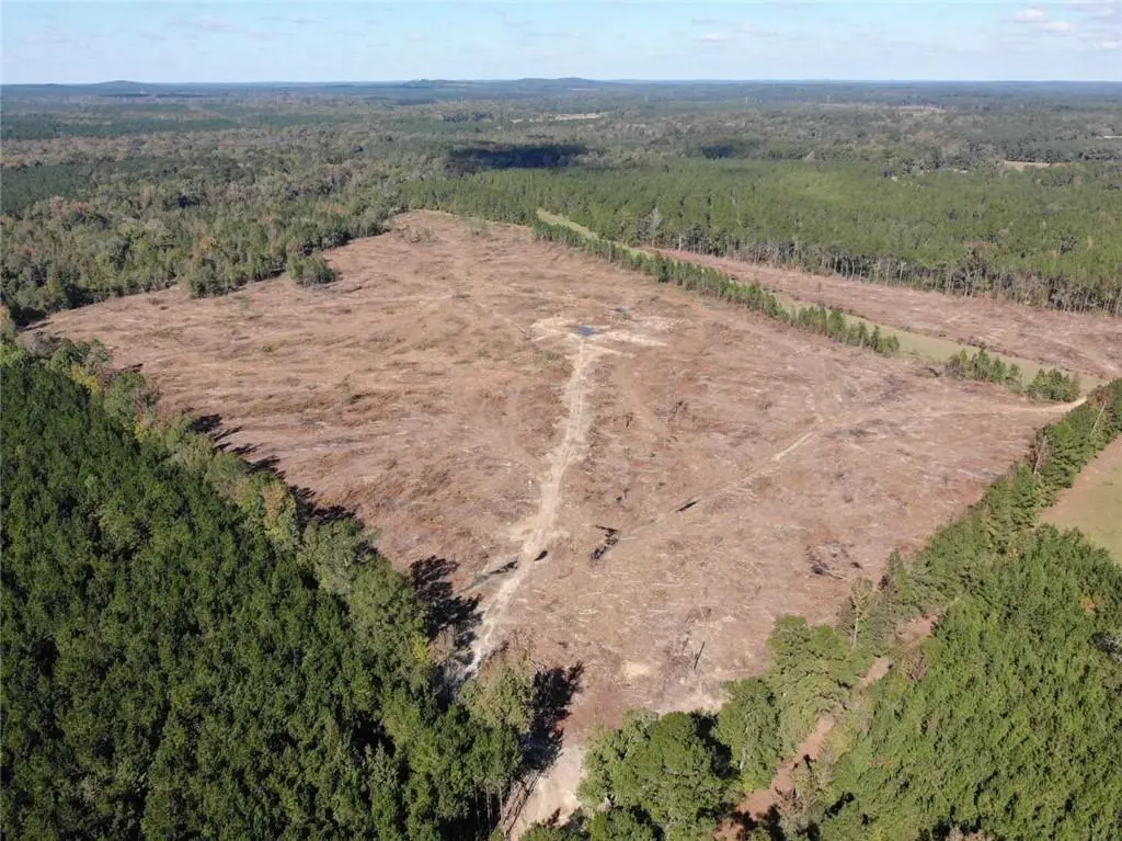 Domino Road, Bienville, LA 71008 - Image #1