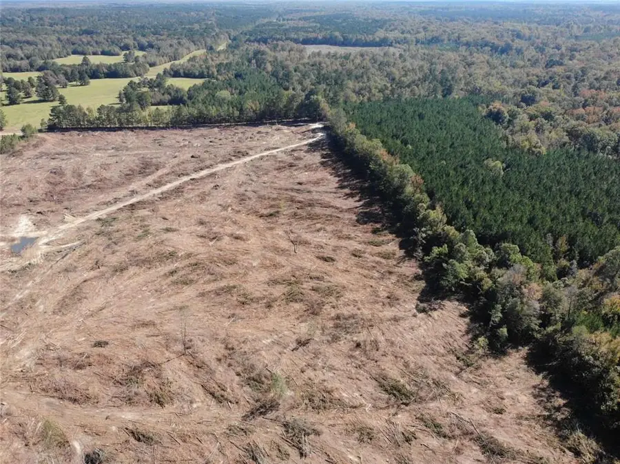 Domino Road, Bienville, LA 71008 - Image #3