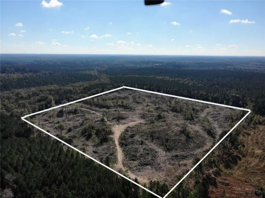 Shiloh Road, Bienville, LA 71008 - Image #1