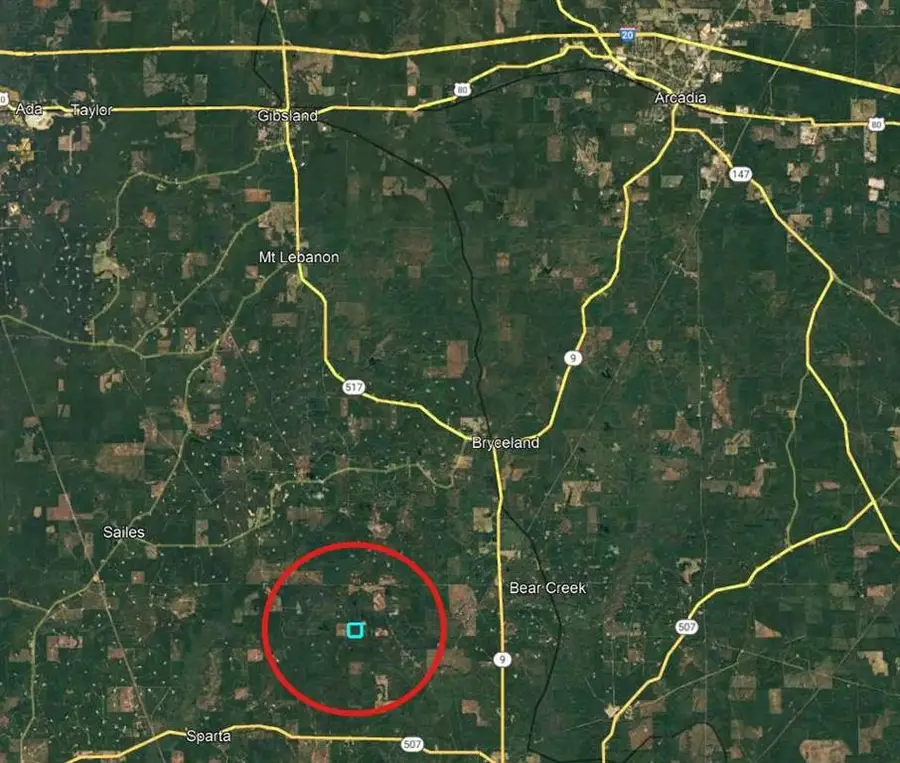 Shiloh Road, Bienville, LA 71008 - Image #2