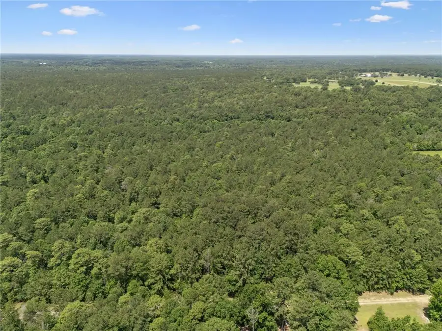 Parcel C (12.82 Acres) Dreamland Court, Folsom, LA 70437 - Image #3