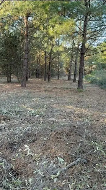 29 Jennie Lane, Picayune, MS 39466 - Image #1