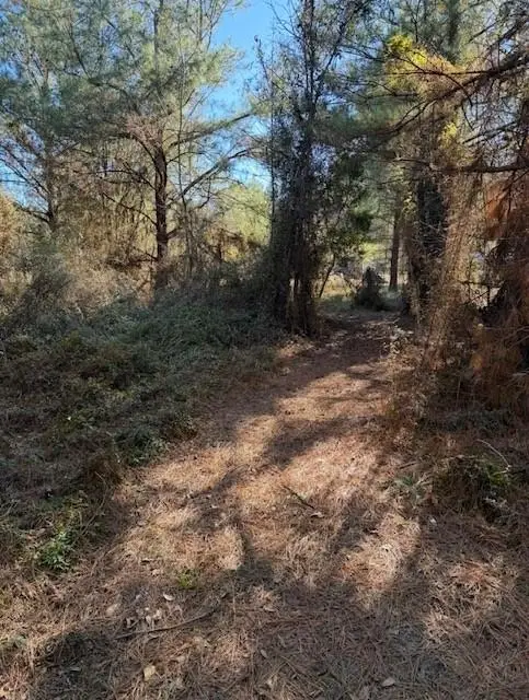 29 Jennie Lane, Picayune, MS 39466 - Image #2