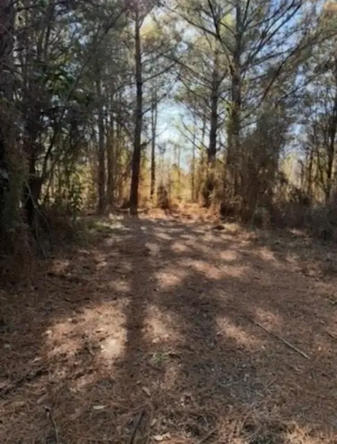 29 Jennie Lane, Picayune, MS 39466 - Image #3