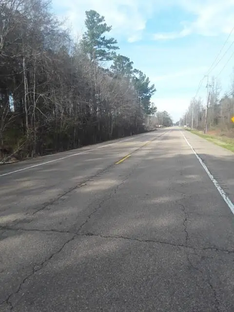 TBD Hwy 51 Highway, , LA 70436