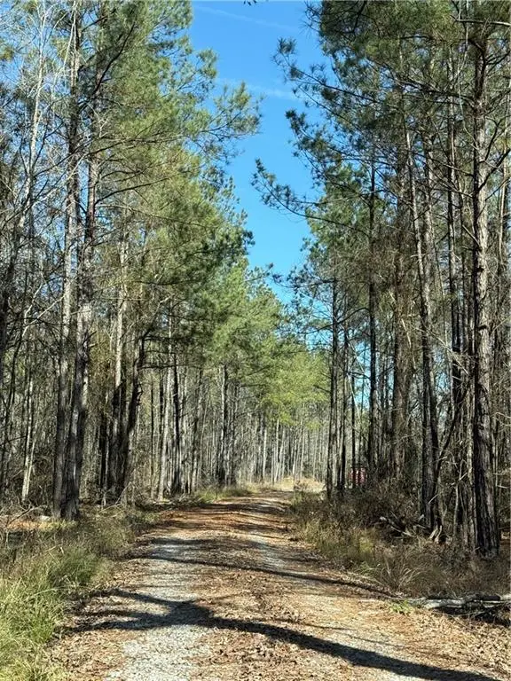 92 H. Strange Road, Lecompte, LA 71346