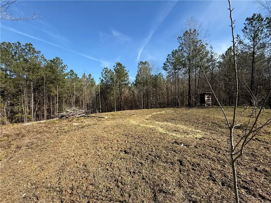 92 H. Strange Road, Lecompte, LA 71346 - #2