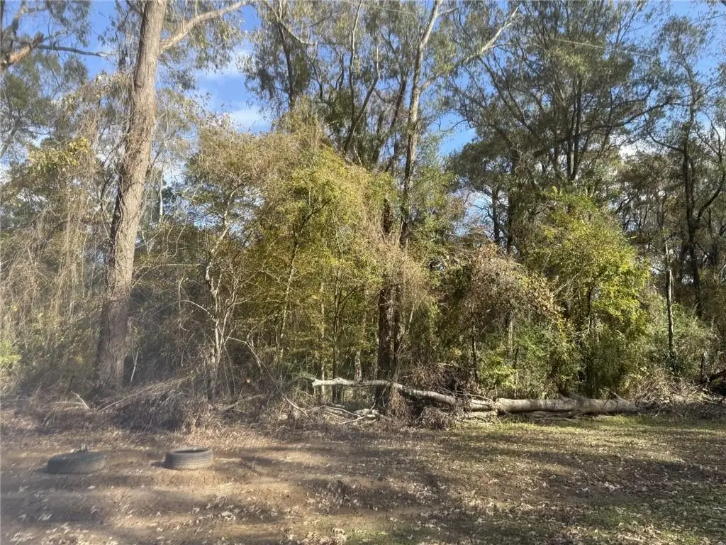 Lot 27 Watershed Road, Ville Platte, LA 70586 - #1
