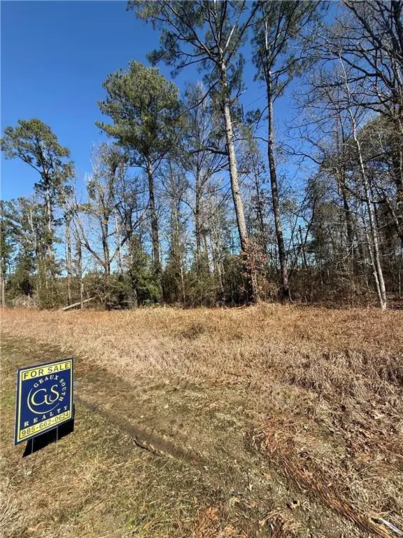 3 Acres Hwy 43 Highway, Independence, LA 70443 - Image #2