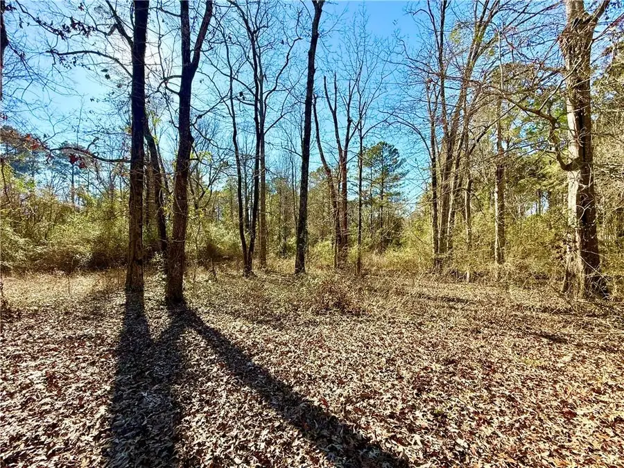 0 Ike Road, Trout, LA 71371 - #2