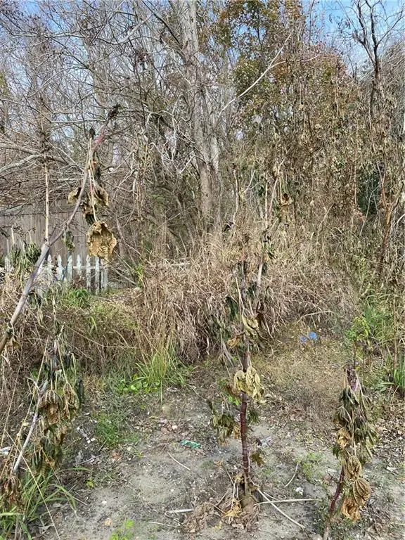 41375 Lawrence Street, New Orleans, LA 70129 - Image #3