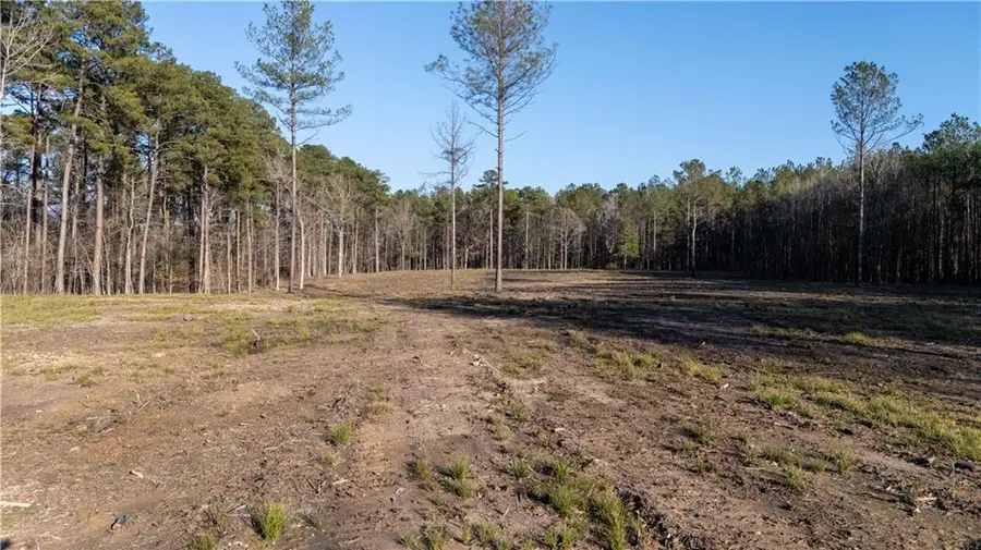 161 1199 Highway, Elmer, LA 71424 - #2