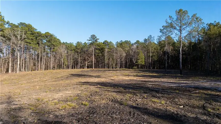 161 1199 Highway, Elmer, LA 71424 - #3