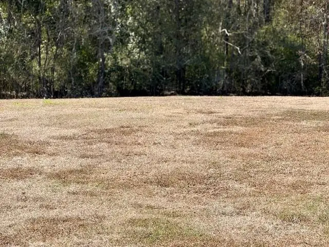 532 Clifford Court, Waggaman, LA 70094 - Image #1