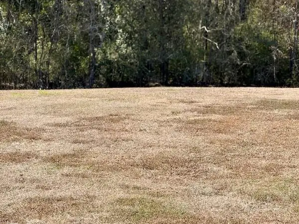 532 Clifford Court, Waggaman, LA 70094