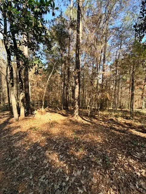 304 Raintree Place, Pineville, LA 71360 - #1