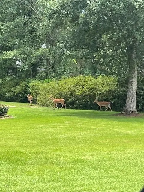 20140 Walden Street, Covington, LA 70435 - Image #2