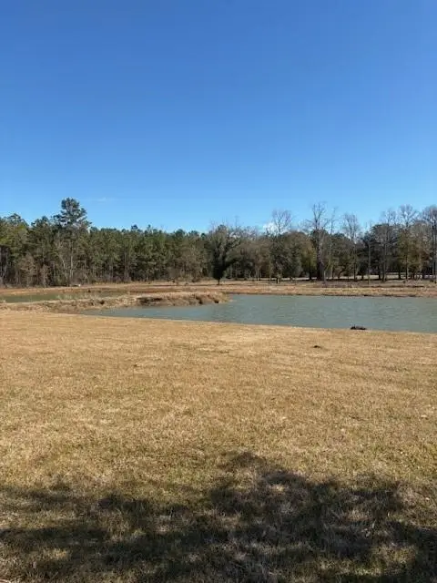 20140 Walden Street, Covington, LA 70435 - Image #3