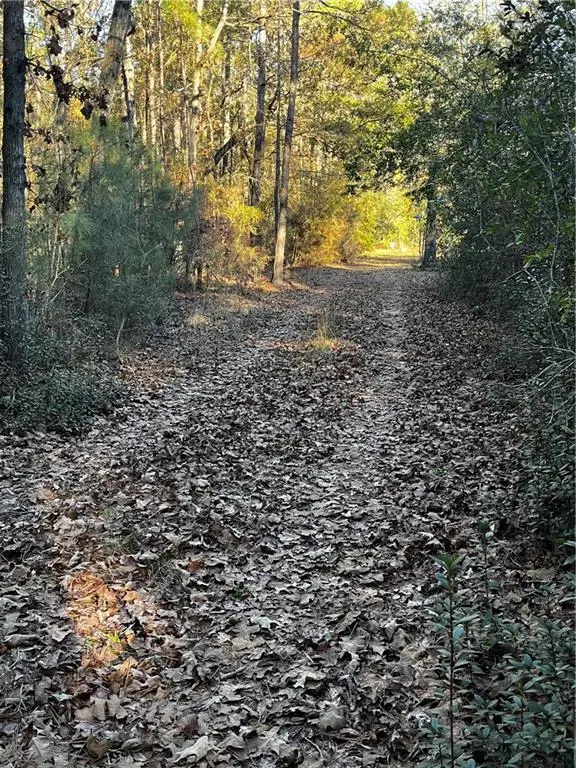 79468 Bruhl Road, Folsom, LA 70437 - #3