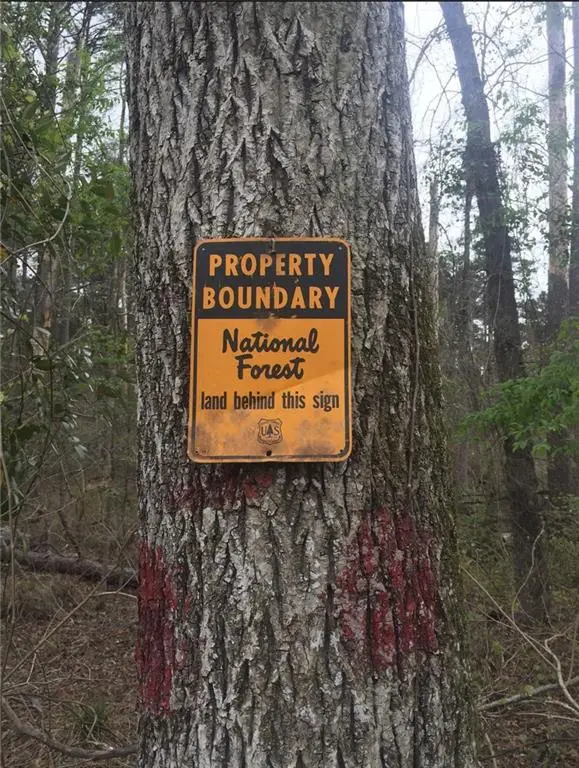 Dug Leckie Cutoff Road, Pollock, LA 71467 - #3