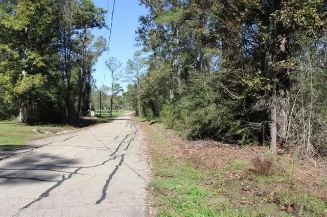 Happywoods Road, Springfield, LA 70462 - #1