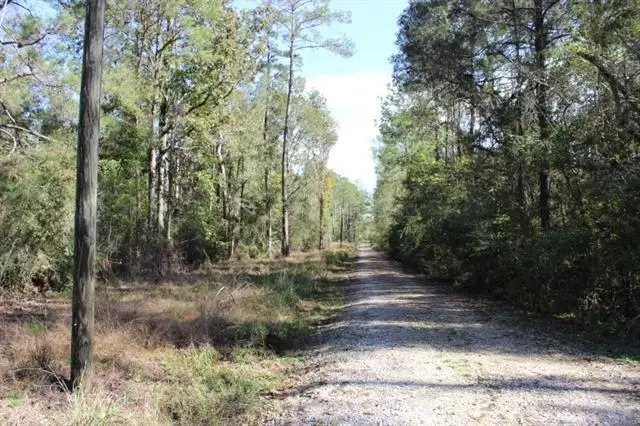 Happywoods Road, Springfield, LA 70462 - #3