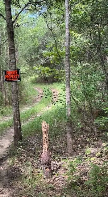 Dillon Road, Kentwood, LA 70444 - #3