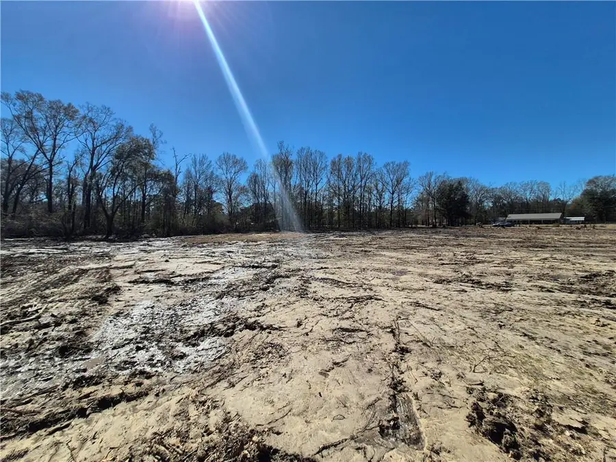 Tract B Stafford Road, Tickfaw, LA 70466 - #2