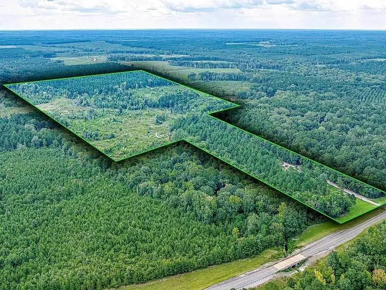 2350 Highway 499, Sikes, LA 71473 - #1